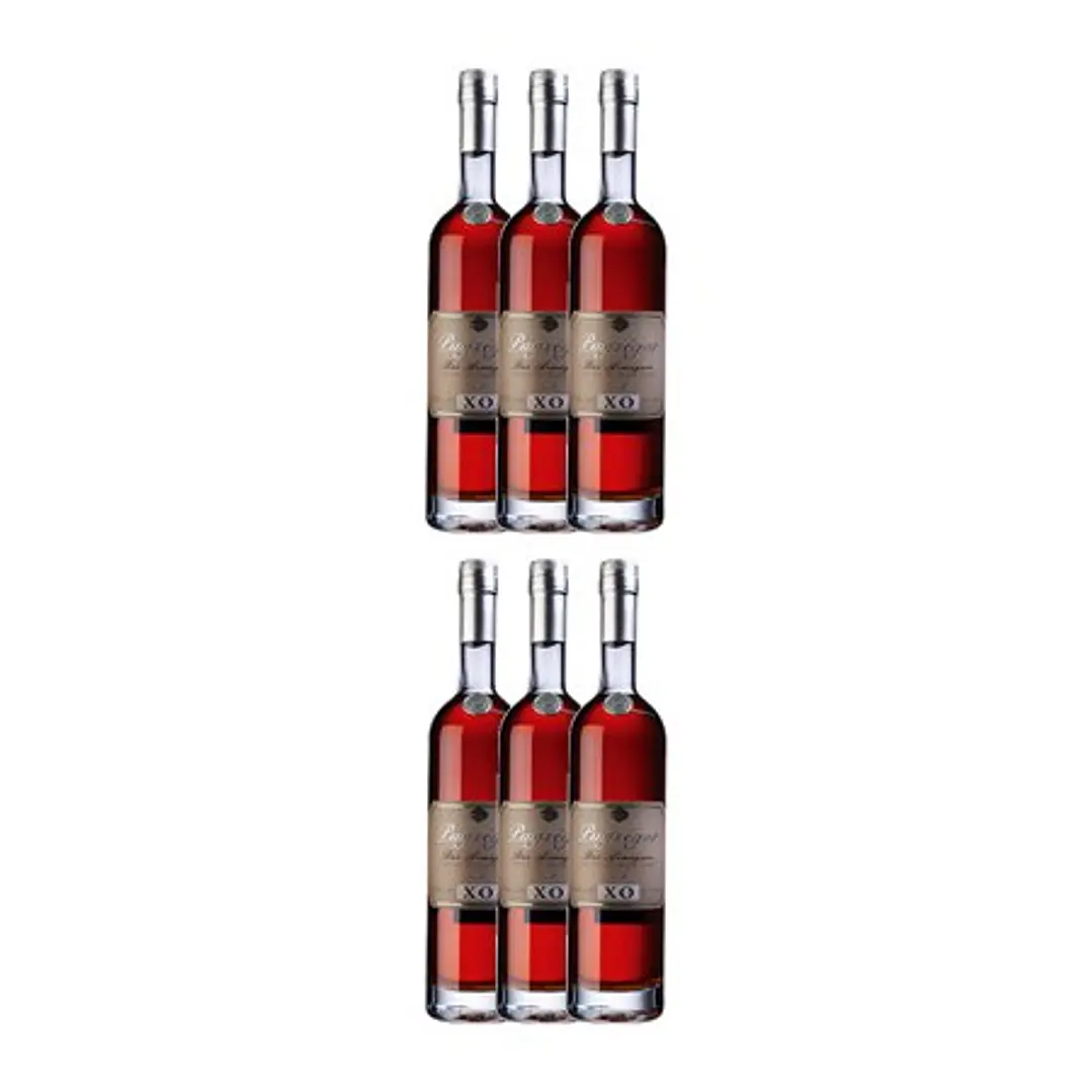 ARMAGNAC PUYSEGUR XO Bas Armagnac vol. 40% - 70cl 4