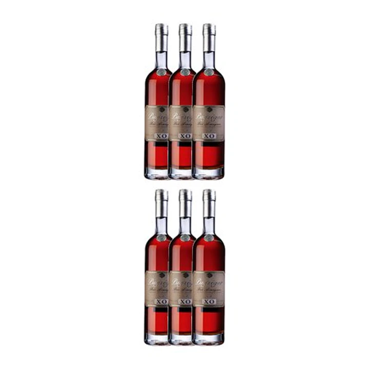 ARMAGNAC PUYSEGUR XO Bas Armagnac vol. 40% - 70cl 4