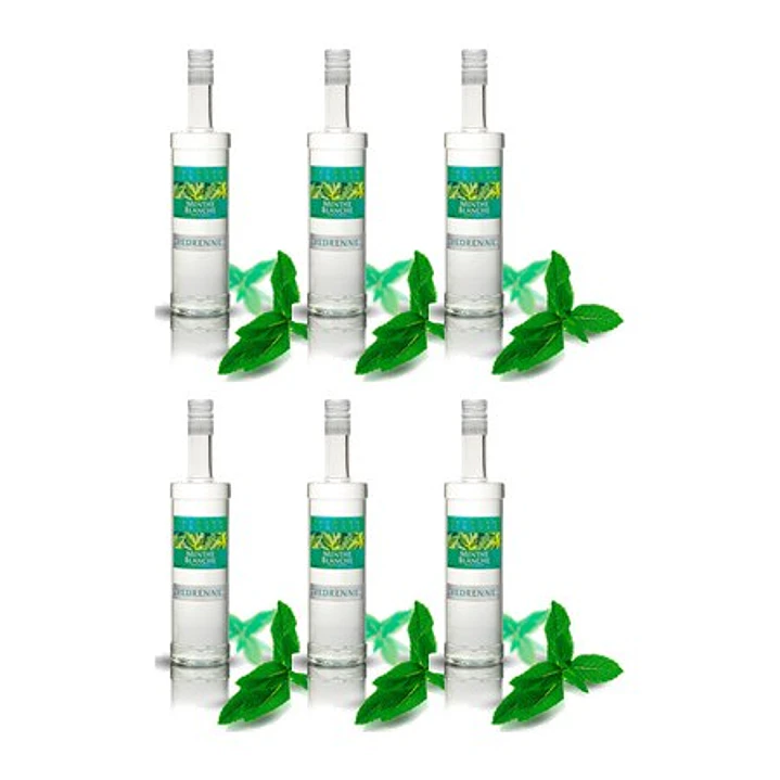 Vedrenne Liqueur Cocktail Mint White vol.21% - 70cl 4