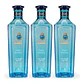 Star of Bombay Gin 70CL - vignette 3