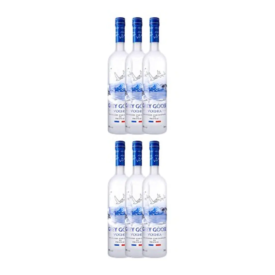 VODKA GREY GOOSE vol. 40% - 70cl 4