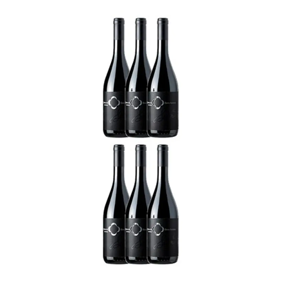 QUINTA DE LEMOS - DONA SANTANA - DÃO Red 75cl 4