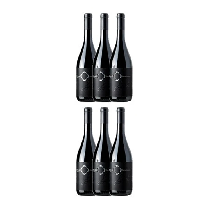 QUINTA DE LEMOS - DONA SANTANA - DÃO Red 75cl 4