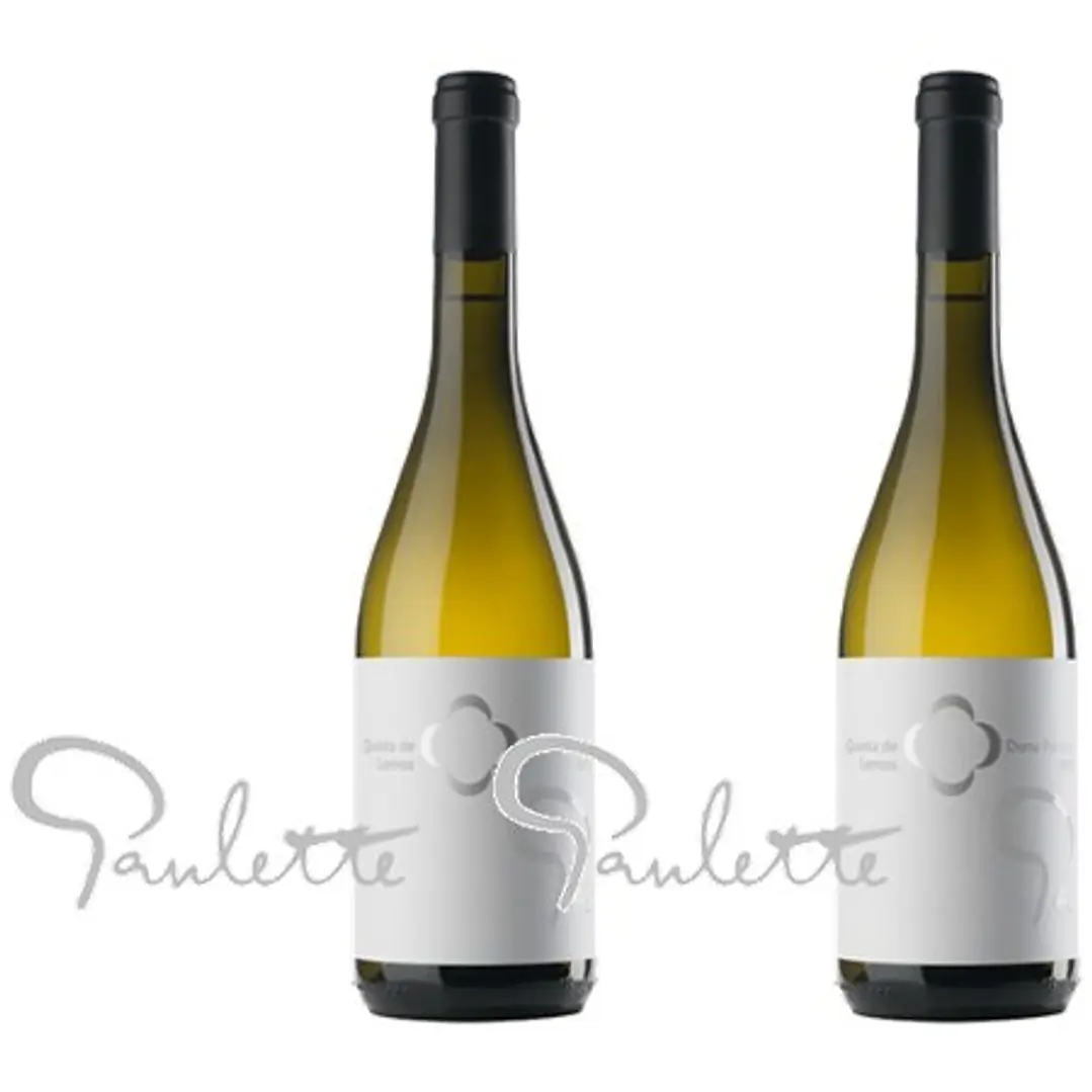 QUINTA DE LEMOS - DONA PAULETTE - DÃO Blanco - 75cl 2