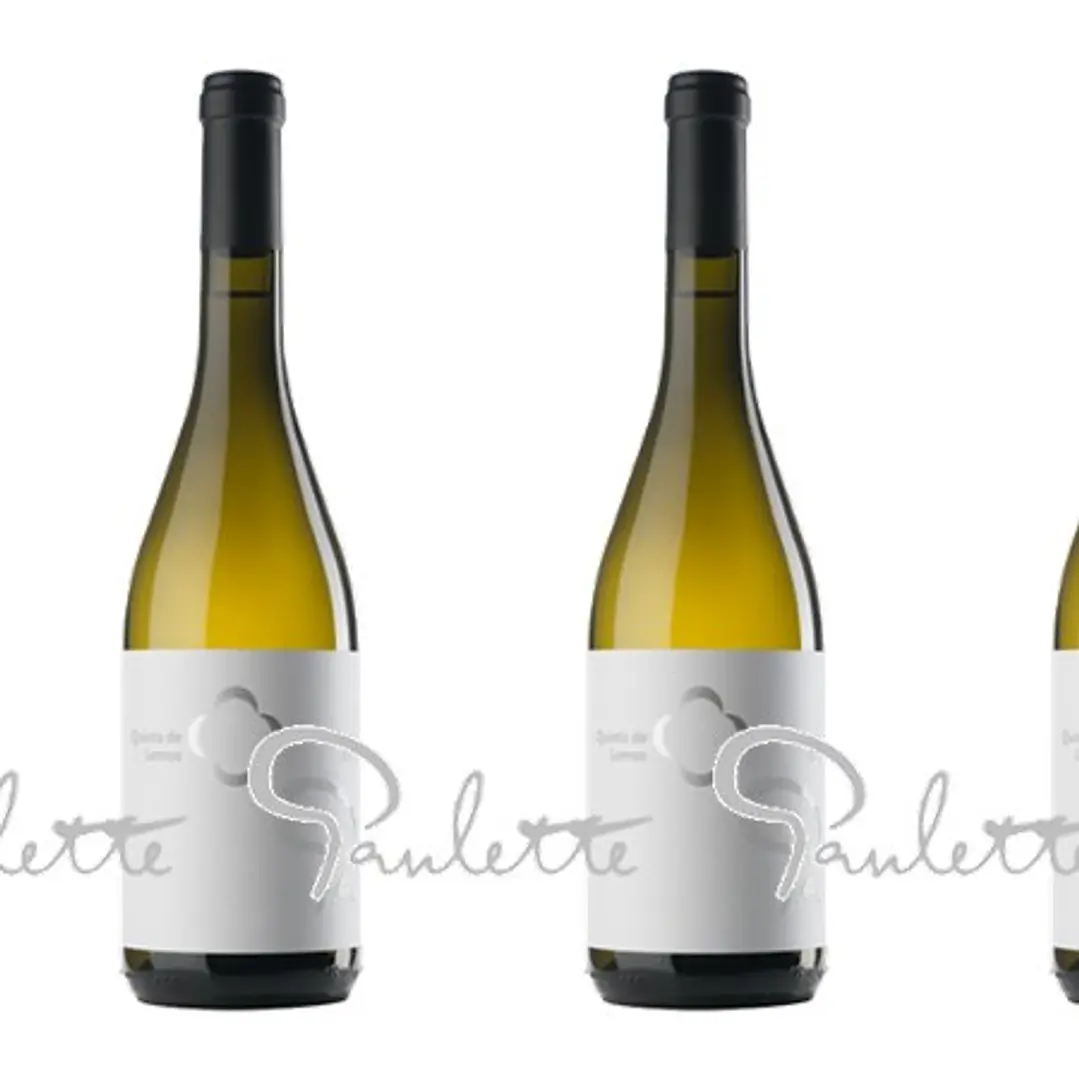QUINTA DE LEMOS - DONA PAULETTE - DÃO Blanco - 75cl 3