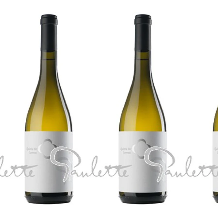 QUINTA DE LEMOS - DONA PAULETTE - DÃO Blanco - 75cl 3