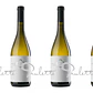 QUINTA DE LEMOS - DONA PAULETTE - DÃO Blanco - 75cl - Miniatura 3