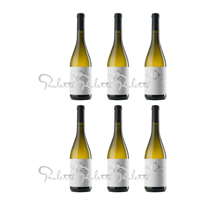 QUINTA DE LEMOS - DONA PAULETTE - DÃO Blanco - 75cl 4