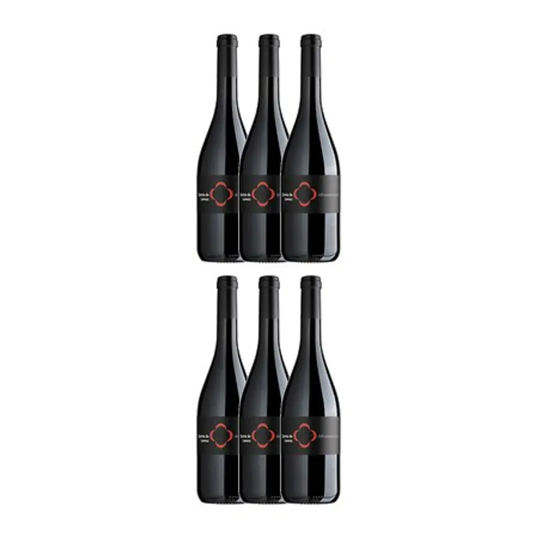 QUINTA DE LEMOS - ALFROCHEIRO - DÃO Red - 75cl 4