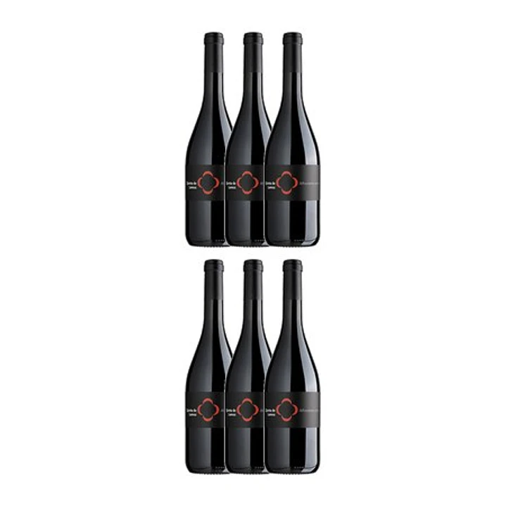 QUINTA DE LEMOS - ALFROCHEIRO - DÃO Red - 75cl 4