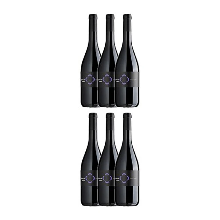 QUINTA DE LEMOS - TINTA RORIZ - DÃO TINTO - 75cl 4