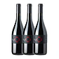 QUINTA DE LEMOS - JAEN - DÃO Red 75cl - Vorschaubild 3