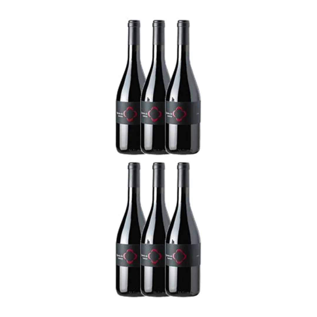QUINTA DE LEMOS - JAEN - DÃO Red 75cl 4