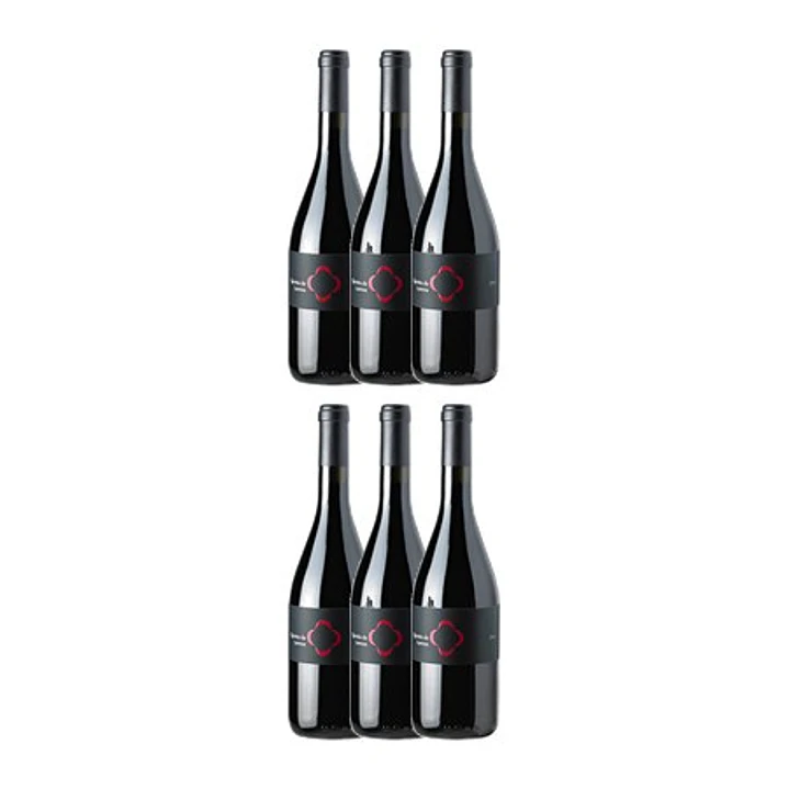 QUINTA DE LEMOS - JAEN - DÃO Red 75cl 4