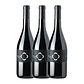 QUINTA DE LEMOS - TOURIGA NACIONAL - DÃO Rouge 75cl - vignette 3