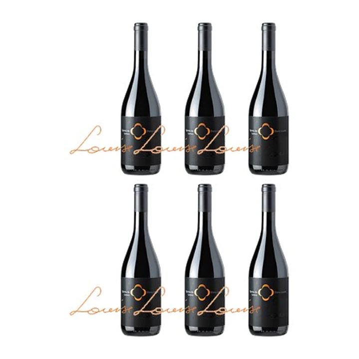 QUINTA DE LEMOS - DONA LOUISE - DÃO TINTO 75cl 4