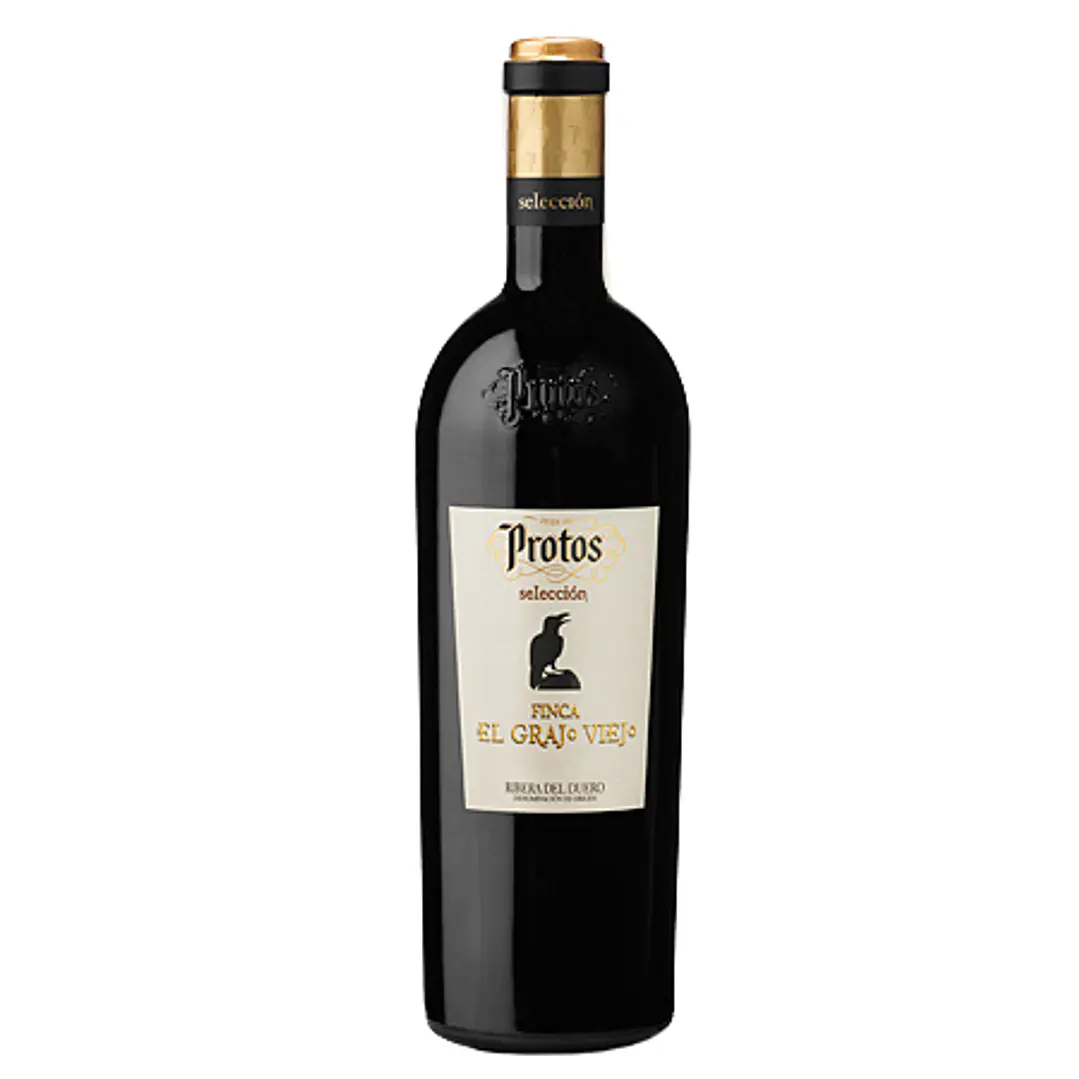 PROTOS FINCA 