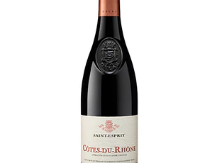 DELAS Côtes-du-Rhône Rouge SAINT-ESPRIT 2023 vol. 14.5% 75cl
