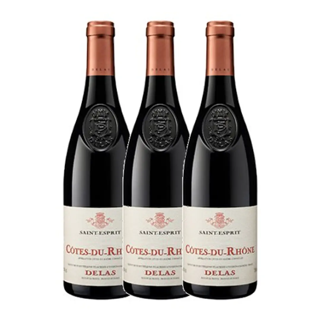 DELAS Côtes-du-Rhône Rouge SAINT-ESPRIT 2023 vol. 14.5% 75cl 3