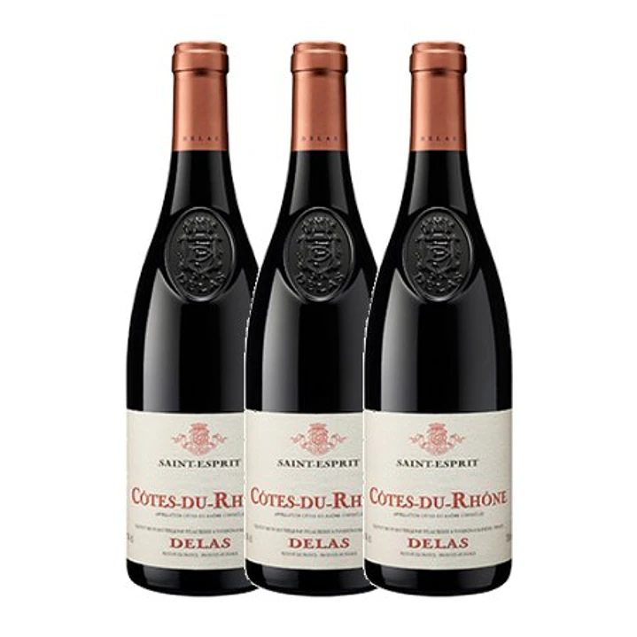 DELAS Côtes-du-Rhône Rouge SAINT-ESPRIT 2023 vol. 14.5% 75cl 3