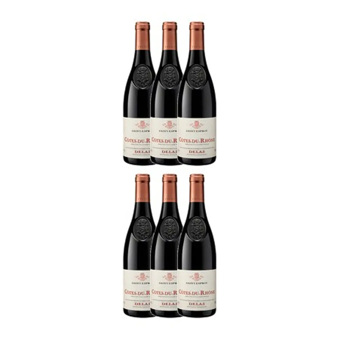 DELAS Côtes-du-Rhône Rouge SAINT-ESPRIT 2023 vol. 14.5% 75cl 4