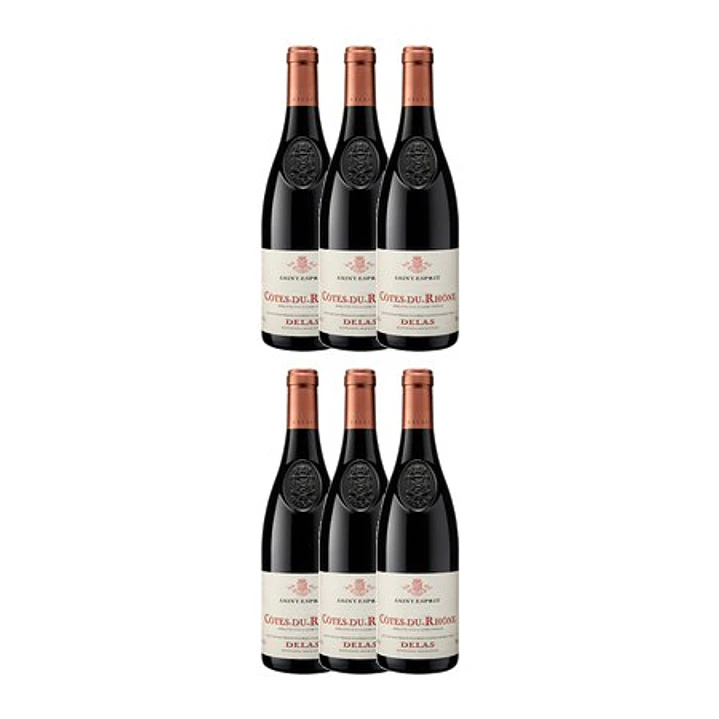 DELAS Côtes-du-Rhône Rouge SAINT-ESPRIT 2023 vol. 14.5% 75cl 4