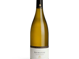Domaine Alain Chavy Bourgogne Blanc 2022 - 75cl