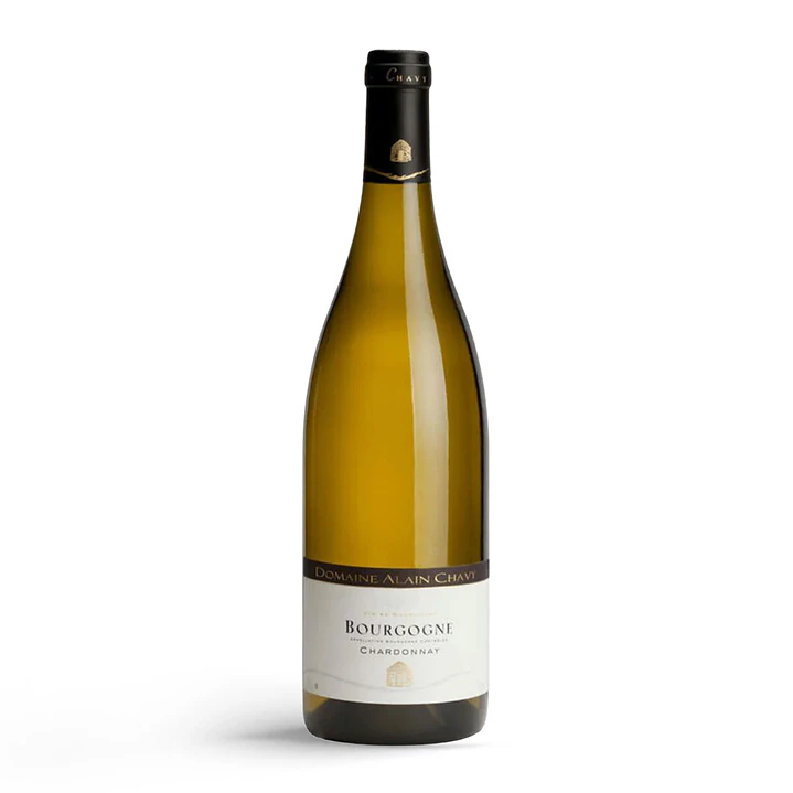 Domaine Alain Chavy Bourgogne Blanc 2022 - 75cl 1