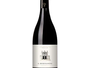 S. Bernardo Tinto 2013