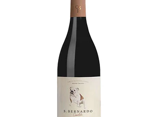 S. Bernardo Carlota Tinto 2017 - 75cl