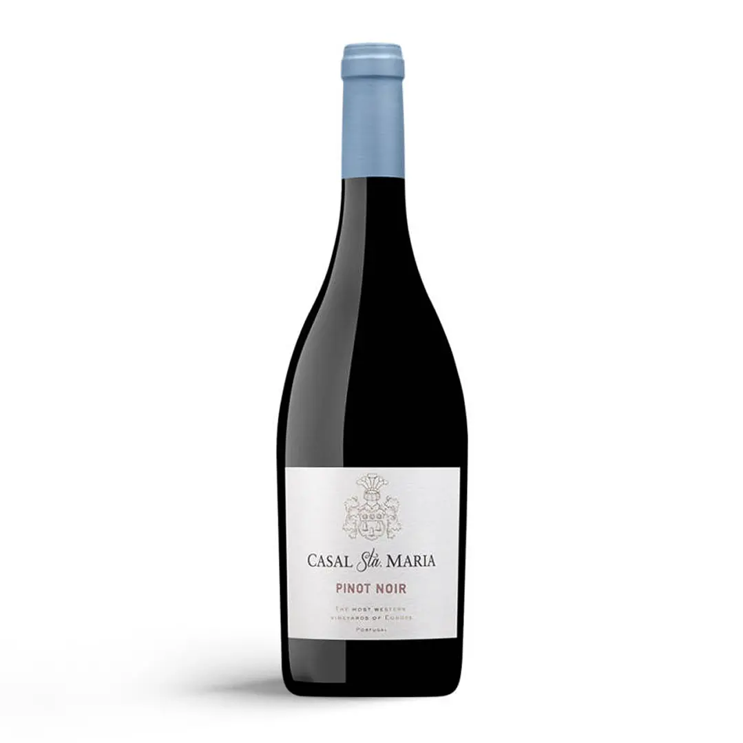 Casal Sta. Maria Pinot Noir Grande Reserva 2022 - 75cl 1