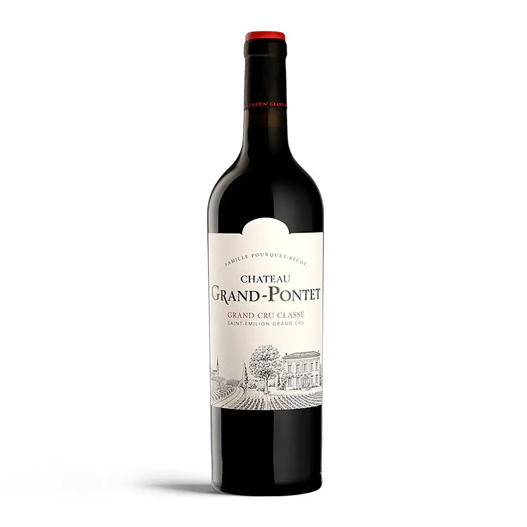 Château Grand-Pontet 2010 - 75cl 1