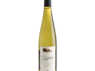Schieferkopf Riesling Trocken-Sec 2023 - 75cl