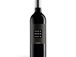 Brancaia Ilatraia 2020 - 75cl
