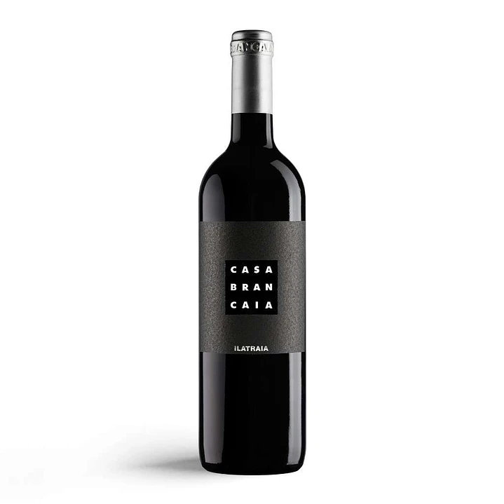 Brancaia Ilatraia 2020 - 75cl 1