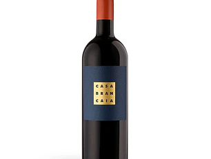 Brancaia Il Blu 2020 - 75cl