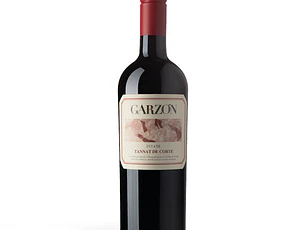 Bodega Garzón Estate Tannat de Corte 2023 - 75cl