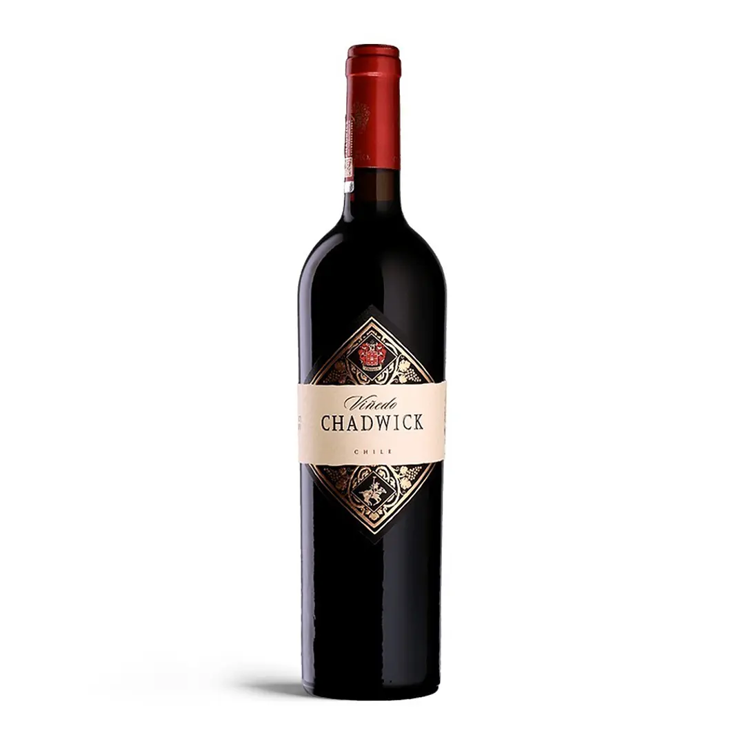 Viñedo Chadwick 2020 - 75cl 1