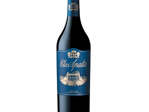 Clos Apalta 2021 - 75cl