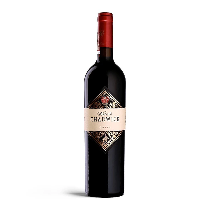 Viñedo Chadwick 2023 - 75cl 1