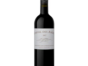 Cheval des Andes 2021 - 75cl