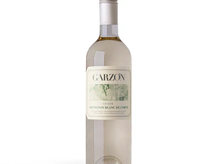 Bodega Garzón Estate Sauvignon Blanc de Corte 2024 - 75cl
