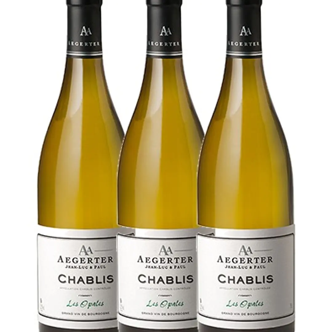 Aegerter - Bourgogne White Chablis Les Opales 2024 3