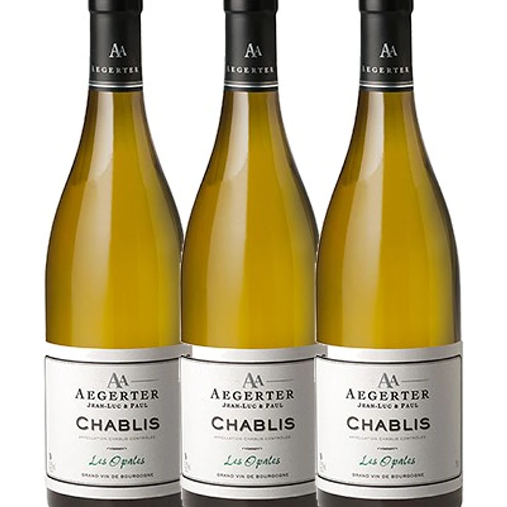 Aegerter - Bourgogne White Chablis Les Opales 2024 6