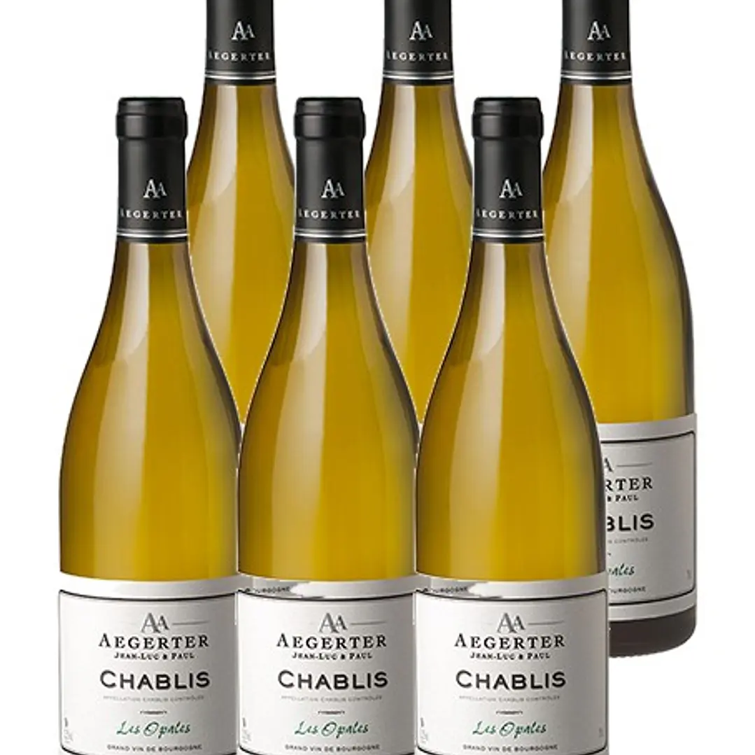 Aegerter - Bourgogne White Chablis Les Opales 2024 7
