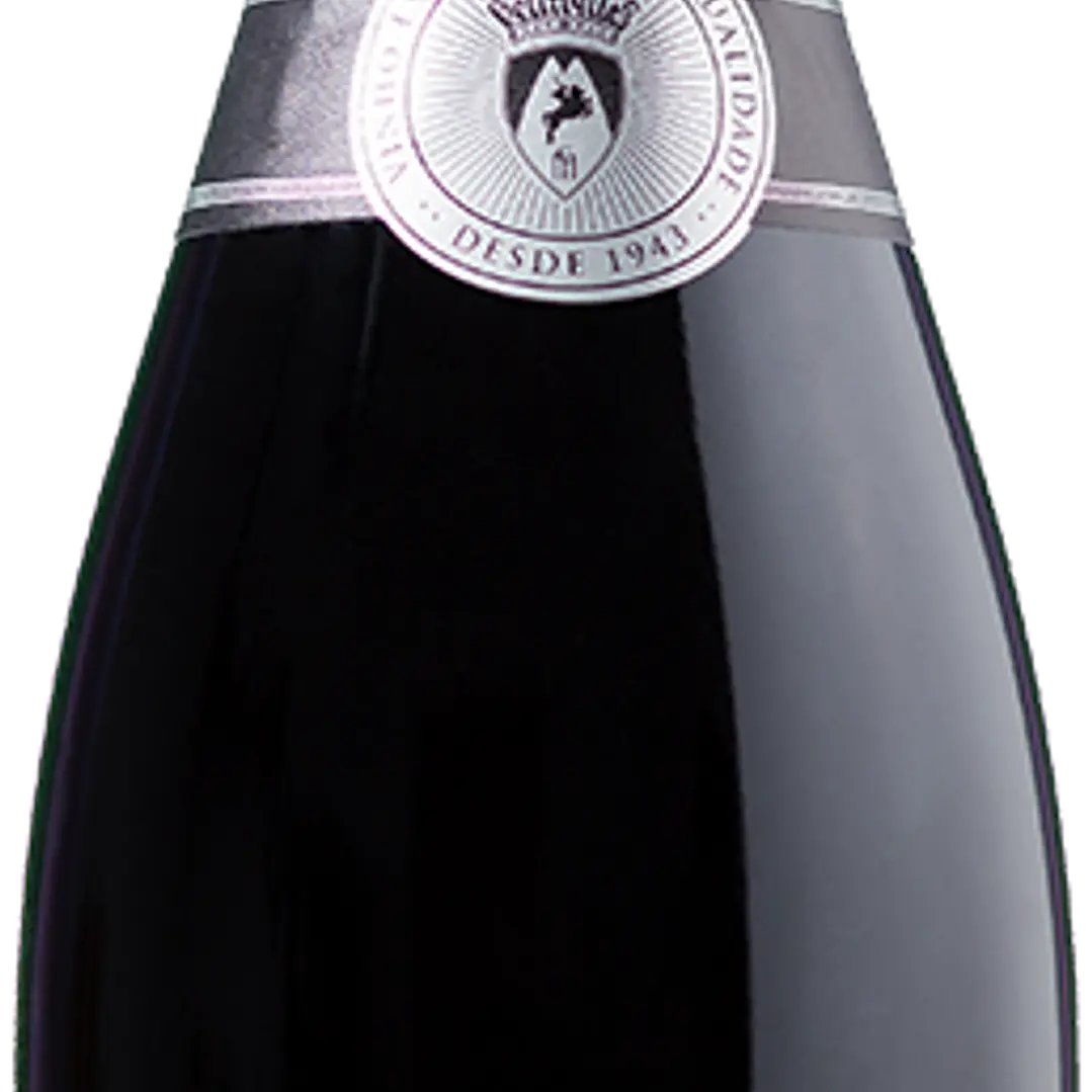 Montanha Tinto Bruto 75 cl 1