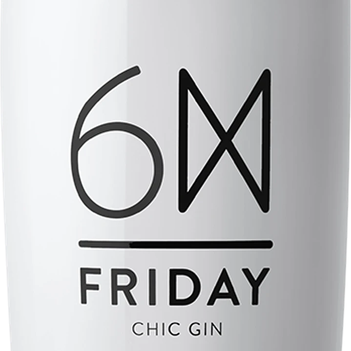 Pack Gin FRIDAY 70 cl 1