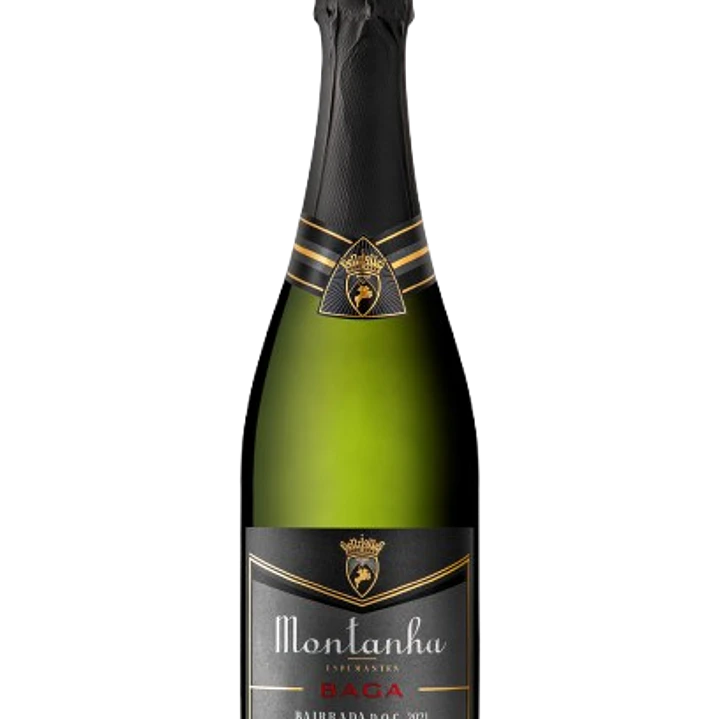 Montanha Baga Bruto 75 cl 1