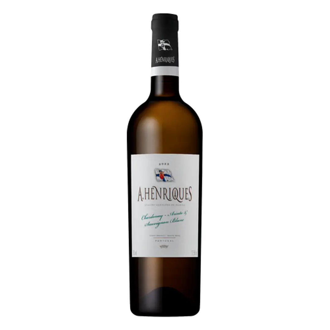 A. Henriques Branco 