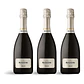 Ruggeri Argeo Prosecco di Treviso Brut - 75cl - vignette 3